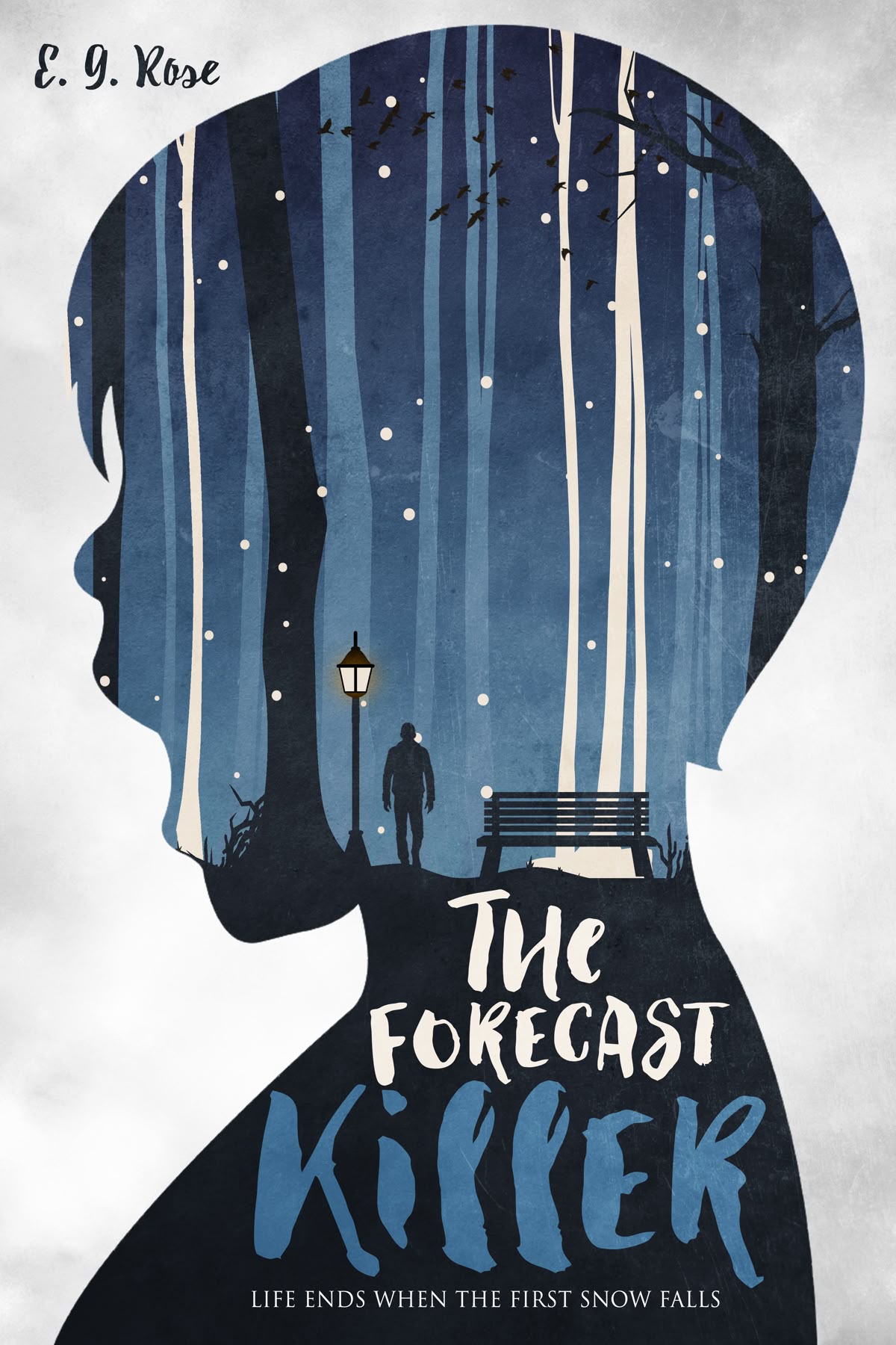 Book cover portfolio sample